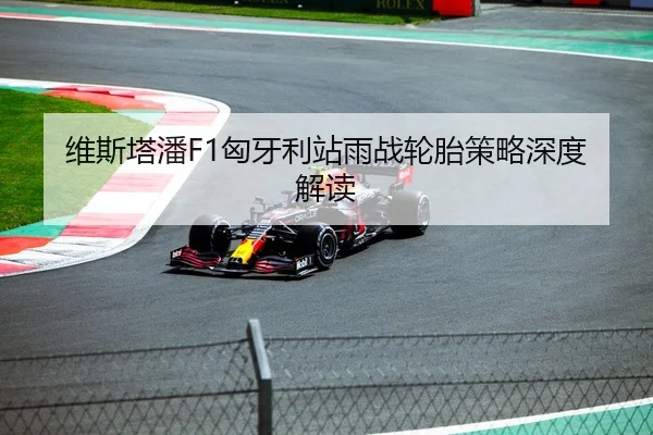 维斯塔潘F1匈牙利站雨战轮胎策略深度解读