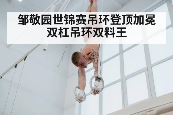 邹敬园世锦赛吊环登顶加冕双杠吊环双料王