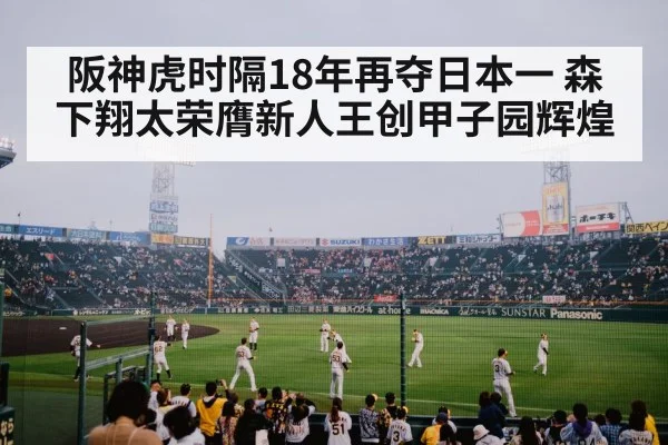 阪神虎时隔18年再夺日本一 森下翔太荣膺新人王创甲子园辉煌